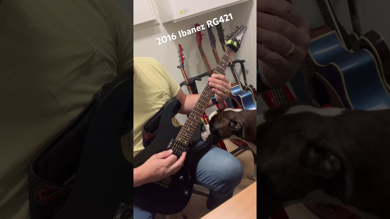 Ibanez RG421 "Prophecy" playthrough 