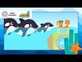 Family Time with Orca Whales | NEW Ocean Explorers | Baby Einstein | Toddler Song | Kids Cartoons