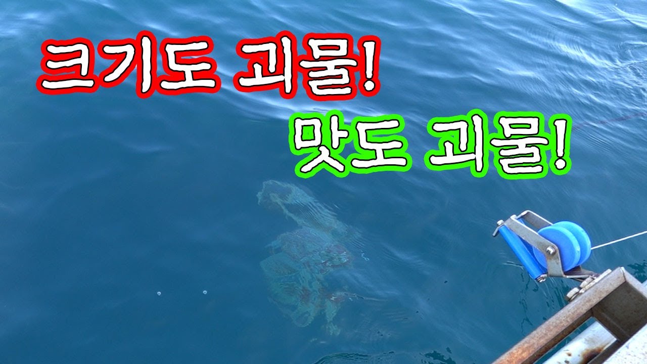 바다의 괴물! 하지만 피로회복에도 괴물! / It's a monster in size and taste.