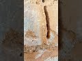 Brick Mortar Removal Test 🔥 Does This Tiny Tool Really Work? #homeimprovemen #brickwork #stone