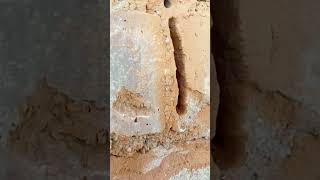 Brick Mortar Removal Test 🔥 Does This Tiny Tool Really Work? #homeimprovemen #brickwork #stone