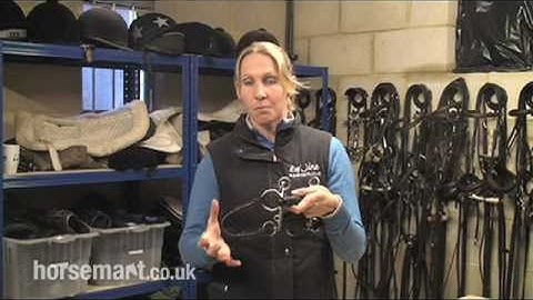 How to choose a bit for a strong horse - The Pelham bit