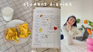 Student Diaries | a work day, my new brand, home chores, cute dinners, new iphone