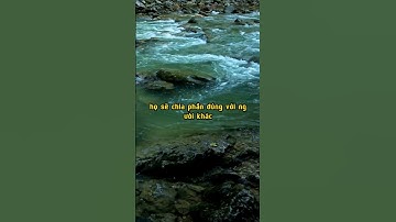 3 thay đổi quyết định thành công