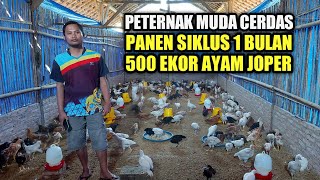 Yukkk Belajar Bersama Cara Beternak Ayam Kampung Super (Memperdalam Ilmu Peternakan Ayam). 