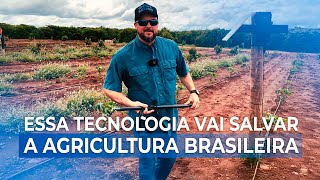 From Soil to Satellite: Turning Underground Data into Better Yields