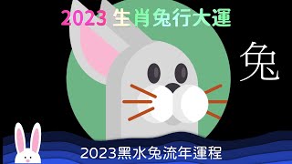 2023 生肖兔行大運 珍惜友情 互助理財 2023 黑水兔年流年運程 屬兔的運勢 高朋滿座   同心協力 共創未來