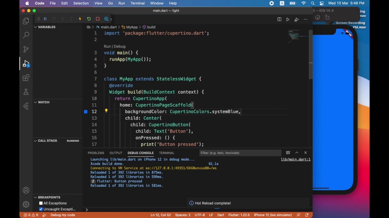 Tutorial: How to build a simple iOS app using Flutter - YouTube