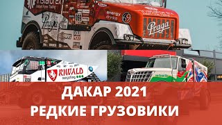 ДАКАР-2021. Редкие грузовики.