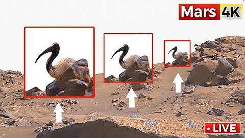 360° 4K Mars Footage by NASA’s Perseverance Rover — The Red Planet Looks Unreal