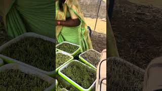 March 29, 2026 Oka bags Shopping malls Papam vallu tax ,Elecrticity bill ,Avani maintaince