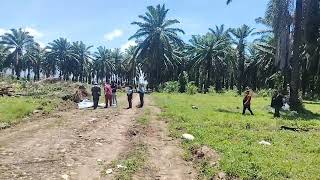 Tic Toker Joven Mazorca