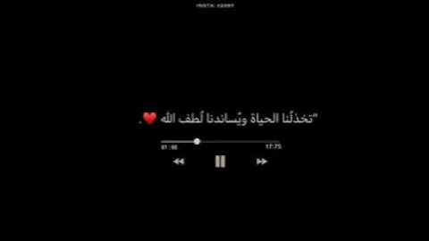 الله لطيف بعباده يرزق من يشاء//حالات واتس اب قران//بصوت اسلام صبحي//حالات واتس اب دينية//تلاوة خاشعة