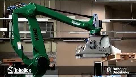 KINE Sack Palletizing