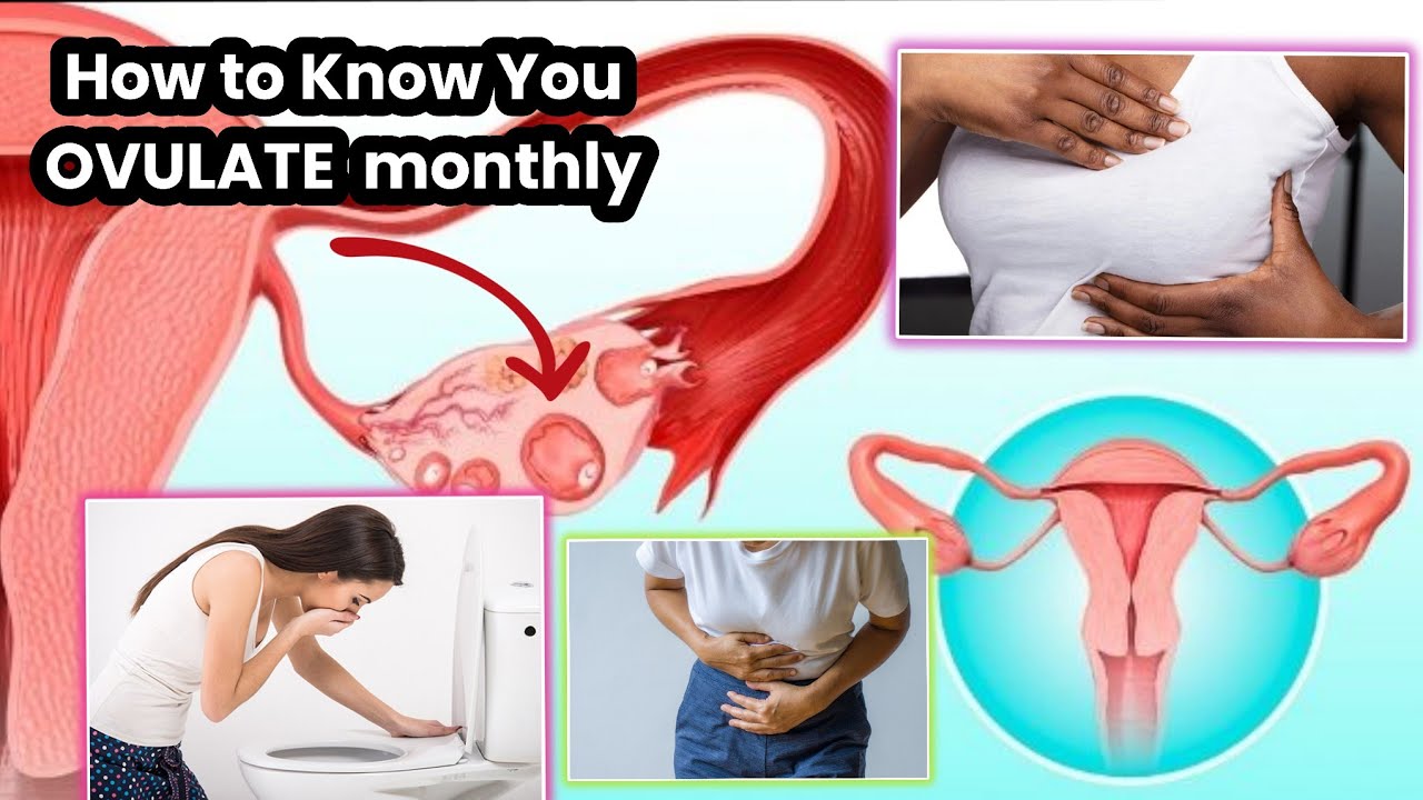 10 SIGNS & SYMPTOMS OF OVULATION... Do you Ovulate? how to know ovulation