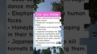 Shocking Animal Behavior Facts