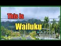 Maui Hawaii :  Wailuku Town Maui Travel Guide Tour Vlog
