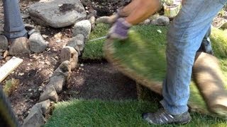 Wow, never thought 46,500 people would want to view this video about
repairing sod.updated viewer count: may 09, 2017.short on how install
a replace...