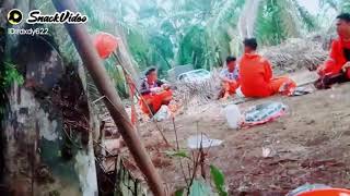 Download Lagu Pejuwang rupiah MP3