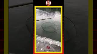 Deep Sea Fishing Adventure 🎣 Big Catch &amp; Ocean Life