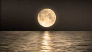 Modyssey - Moonlight