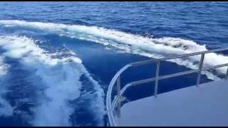 Solarwave 62 "Cruiser" - Engine tests