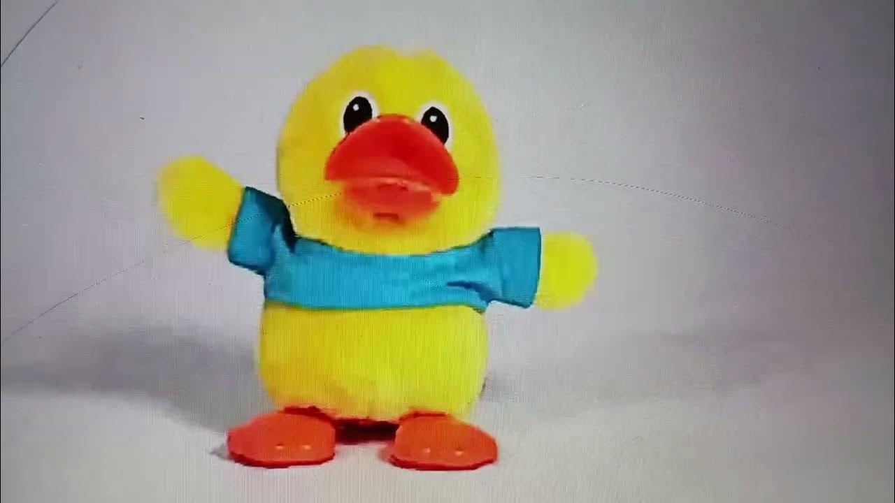 Baby Einstein Duck Quacking Comparison YouTube
