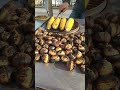 بياع العرانيس بياع الكستنة اسطنبول