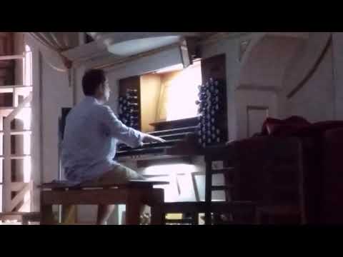 Manuel Mendo - Organista para Bodas