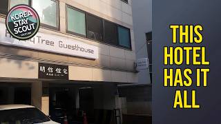 Happytree Guesthouse - This Hotel Has It All | Seoul, South Korea🏨