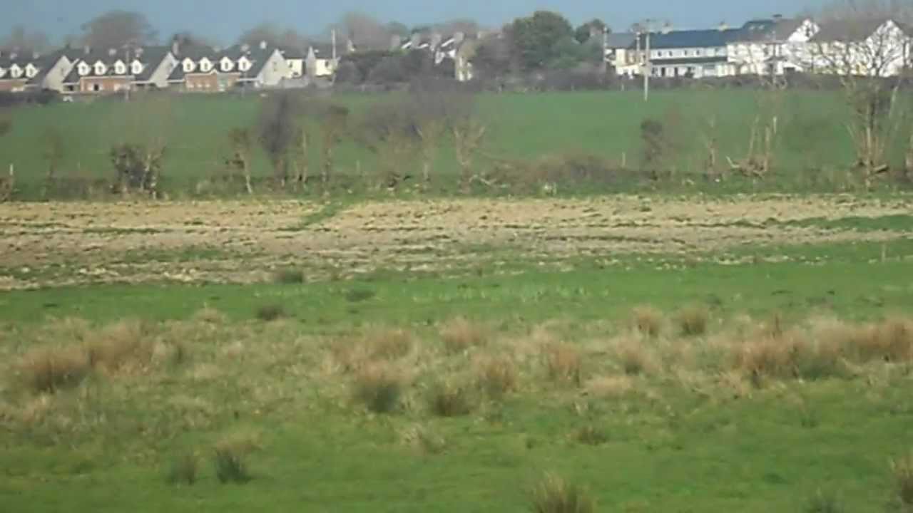 Went for a walk there ..... in Ireland that is .