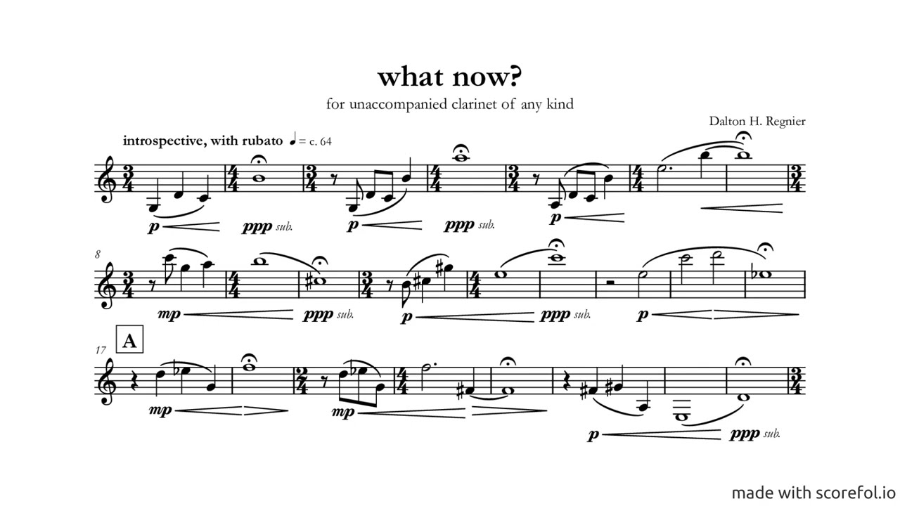 Dalton H. Regnier: what now? for unaccompanied clarinet of any kind [score video]