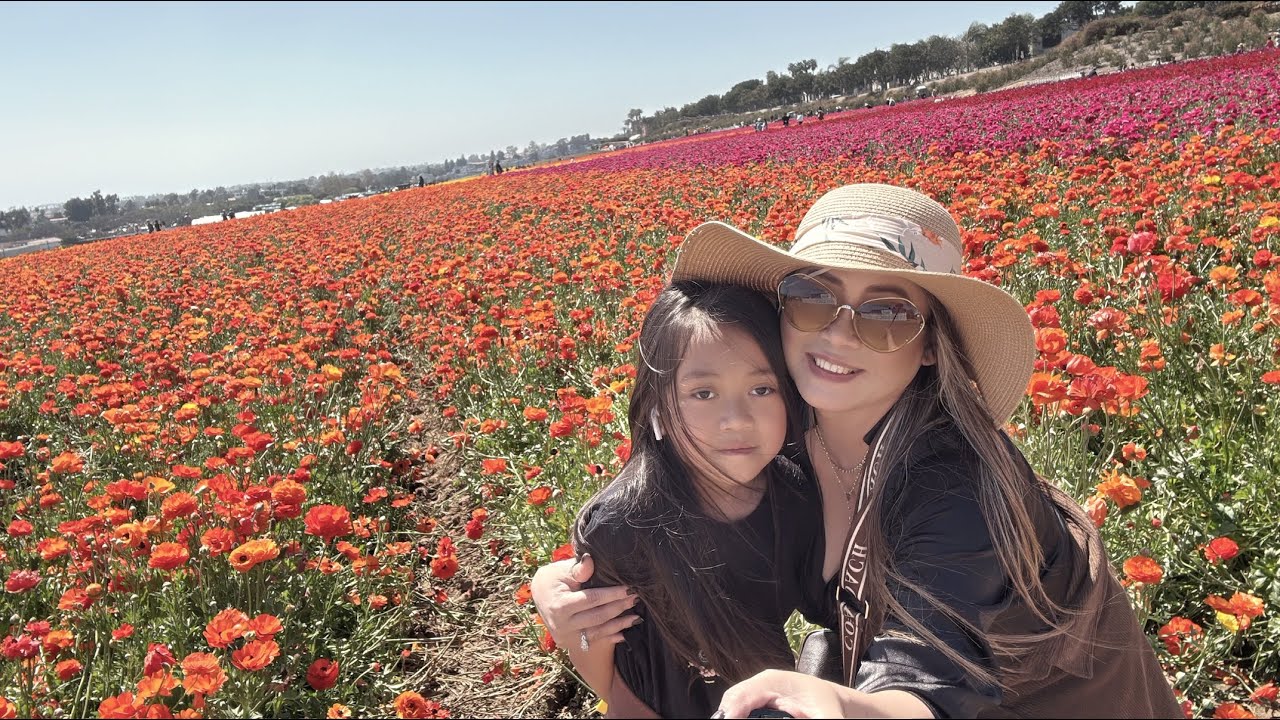 Flowers farm so amazing very beautiful