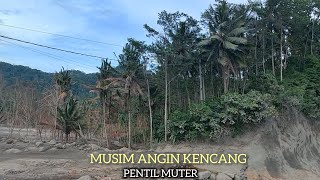 Download Lagu Waspada!!! Angin Kencang Pentil Muter Melanda Kawasan Dusun Sumber Langsep MP3