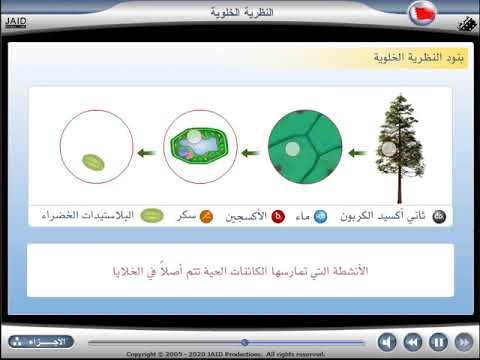 النظرية الخلوية