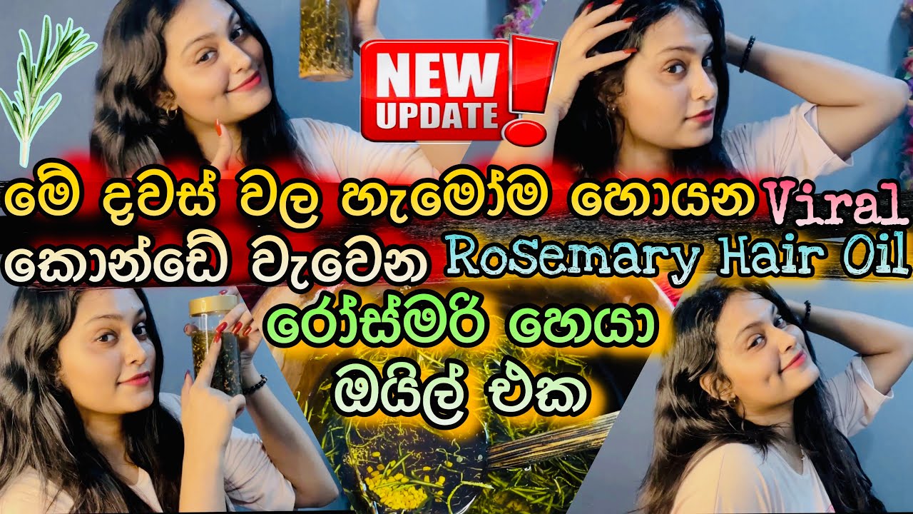 හැමෝම හොයන දවස් 7න් කොන්ඩේ වවන රෝස්මරි | Make rosemary oil | stop hair fall and regrow thinning hair