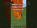 Cursed Fireball! #shorts #minecraft #virisrj #mcbe #minecraftglitch #itsmejames #silentwisperer