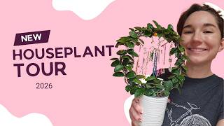 A Realistic Houseplant Tour | What My Plants Actually Look Like 400+ plants Touring My Plant Filled Home 400 Houseplants