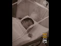 پنجره |۶۴| دوران محمدرضا شاهی؛ ولیعهد سلطنت مشروطه (صد سال پهلوی؛ ۱۳۰۴ تا ۱۴۰۴)