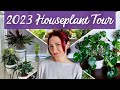 New year new full plant tour  lets check in on every houseplant in my collection