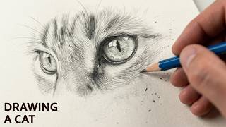 Drawing a cat