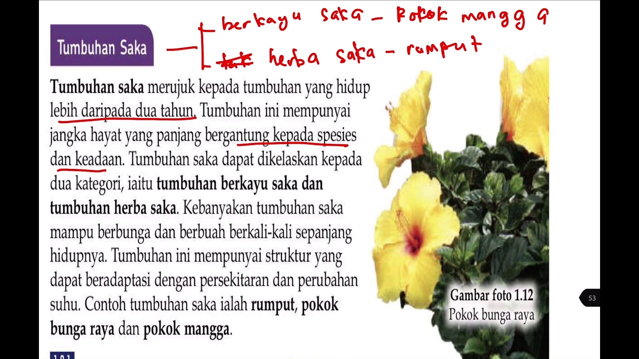 Bio T5 B1: 1.3 jenis tumbuhan berdasarkan kitar hidup