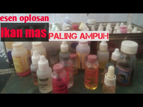 "mancing-mania"esen-oplosan-ikan-mas-paling-ampuh-utuk-harian-dan-galatama