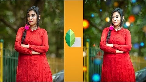 Snapseed tutorial || Bokeh effect || Bokeh Background || Bokeh photography Part 2 Video Suraj Dey