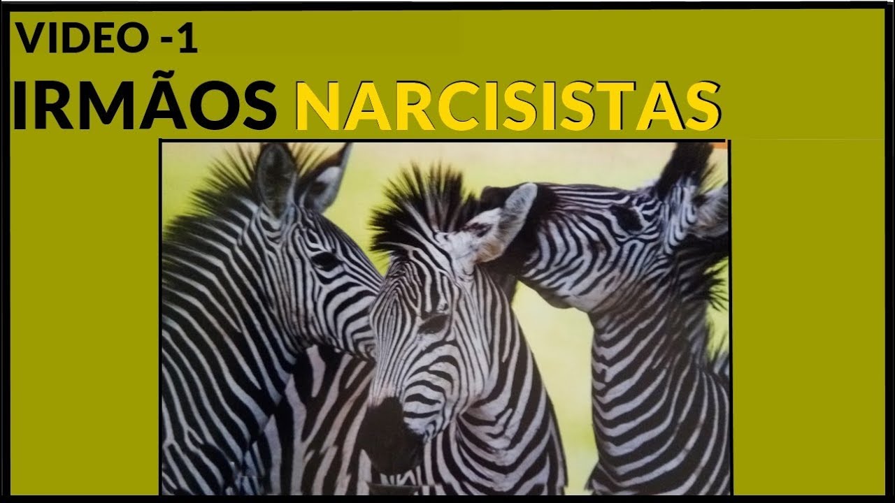 IRMÃOS NARCISISTAS -  O SUPRIMENTO  video -1