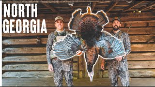 TURKEY HUNTING In The MOUNTAINS (Bear Encounter!!)