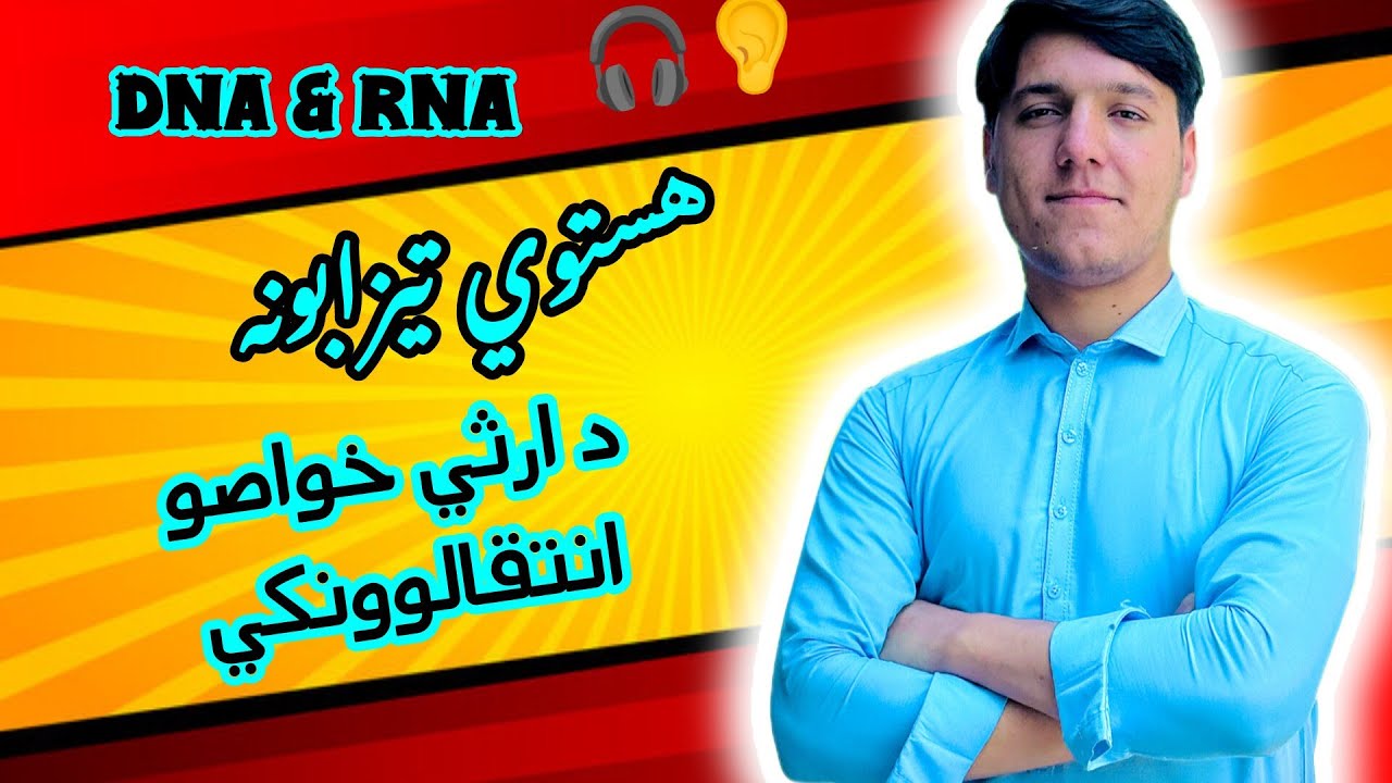 هستوي تېزابونه | د ژوند پټ کوډDNA and RNA