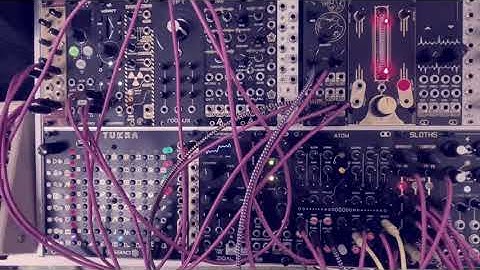 10min random chaos with Triple Sloths