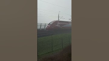Thalys komt langs station Nieuw Vennep. #ns #thalys #shorts