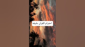 القران الكريم #القرآن_الكريم #الرحمن #دويتو #المصحف #لايك #الظروف #راحة_نفسية #duet #المراه #ا